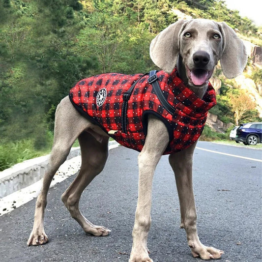 Roupas de Inverno em Lã para Cães Pequenos Vermelho Estampa / P R - Roupas - 11