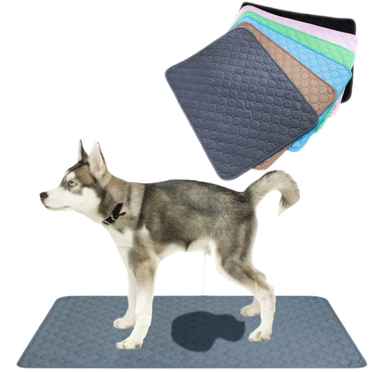 Tapete Higiênico Lavável Para Cachorro A - TABEPETE HIGIENICO - 01