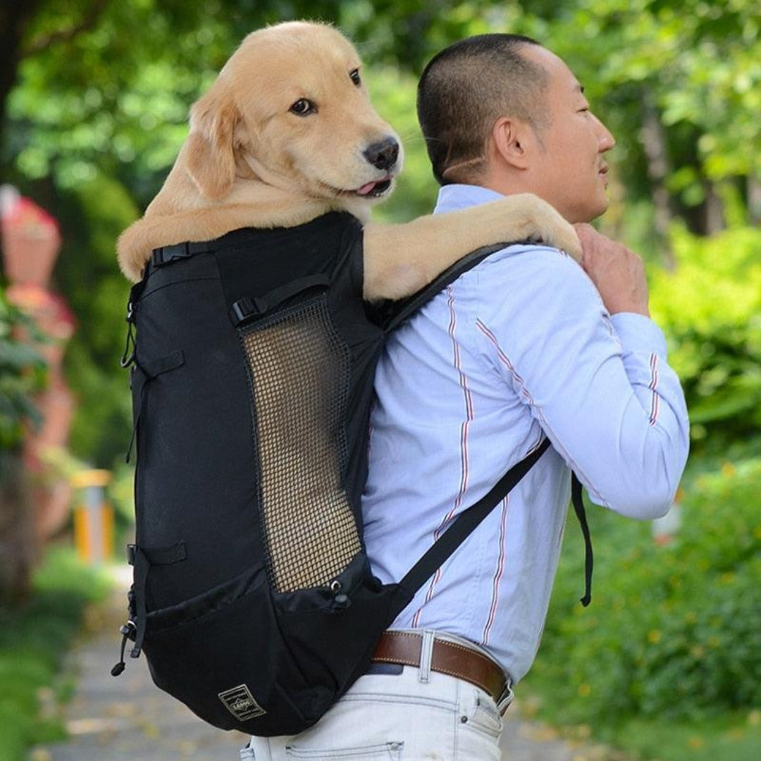 Mochila Cangur Para Cachorros Grande Pet Explorer mochila-cangur-para-cachorros-grande-pet-explorer