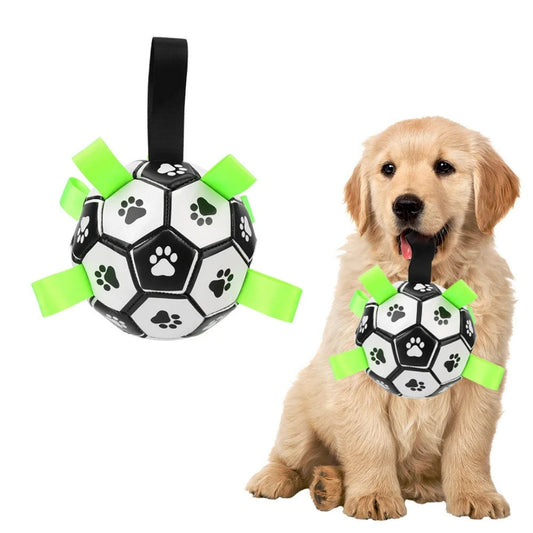 Brinquedo Bola Interativa para Cachorro B - Bola - 02 TER
