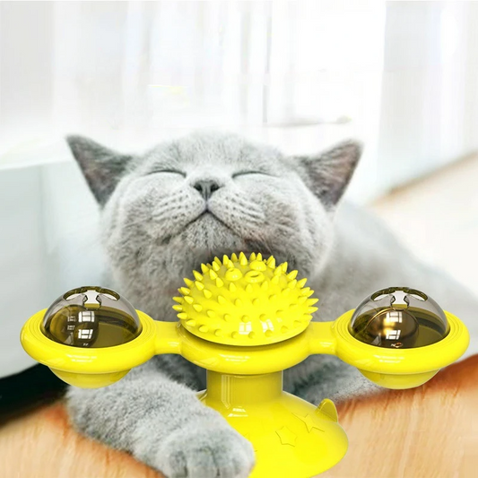 Brinquedo interativo para gatos com compartimento para catnip SpinBalls BI - 04