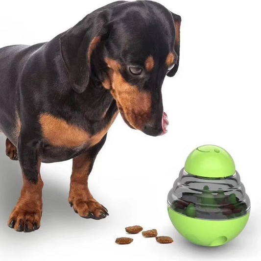 Brinquedo interativo para cães e gatos com dispenser de ração EggToy BI - 02