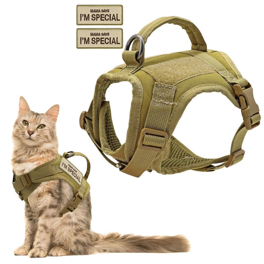 Colete para Gatos e Cães Pequenos Verde Claro / Unico C - colete gato - 01