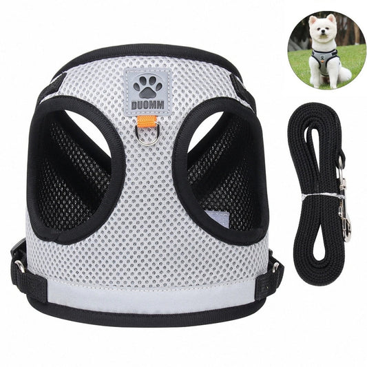 Conjunto Coleira Peitoral e Guia para Cães e Gatos Safety Cinza / PP C - Peitoral - 02