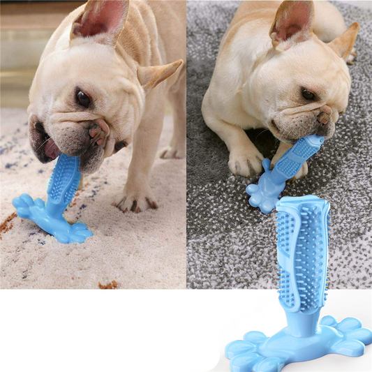 Brinquedo limpador bucal para pets CleanTooth LP - 02