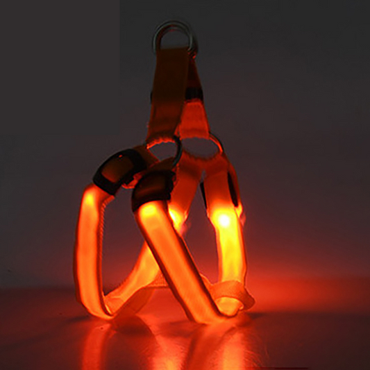Coleira peitoral que brilha no escuro ShineLight Laranja / PP CL - 04
