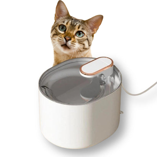 Fonte de Água Silenciosa para Animais - Silen C - fonte - 01