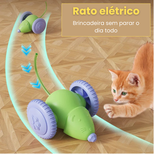 Brinquedo Rato Elétrico para Gatos