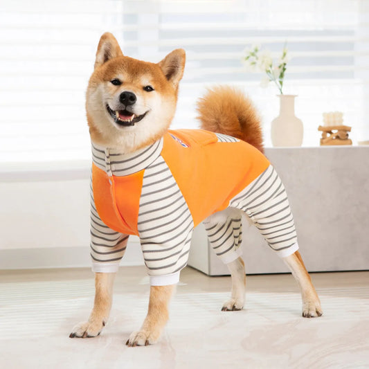 Roupa Listrada para Cães com Estilo Moderno e Confortável