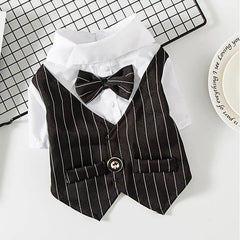 Roupa Social para Gato com Gravata Borboleta