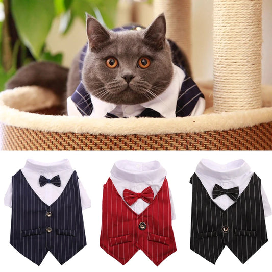 Roupa Social para Gato com Gravata Borboleta