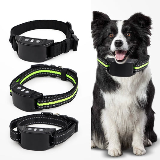 Coleira Educativa para Reduzir Latidos