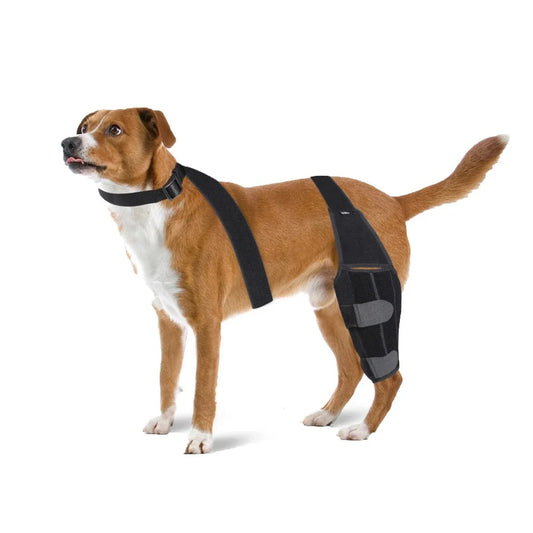 Joelheiras Para Cachorro S - JOELHEIRA - 01