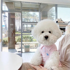 Camiseta Para Cachorro Polo Listrada Com Gola Social