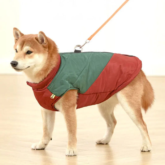 Colete Impermeável e Refletivo para Cães no Frio — Boreal