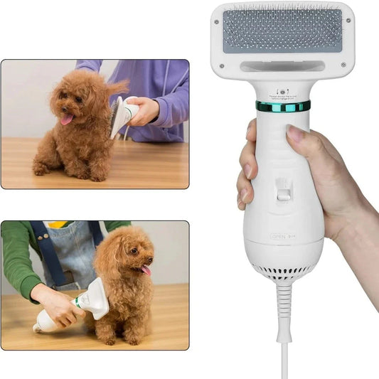 Secador Para Pet 2 Em 1 - Harley EU Plug A - Secador - 01