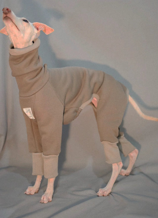 Roupa Pet Para Galgo Com Estilo Minimalista E Manga Longa