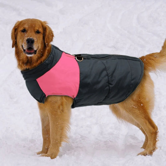 Roupa de Inverno Impermeável para Cachorro Grande com Cor Viva