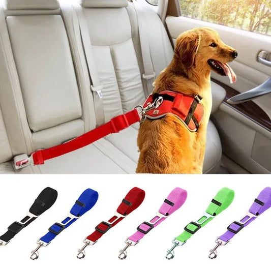 Cinto de Segurança para Cachorro C - CINTO - 01