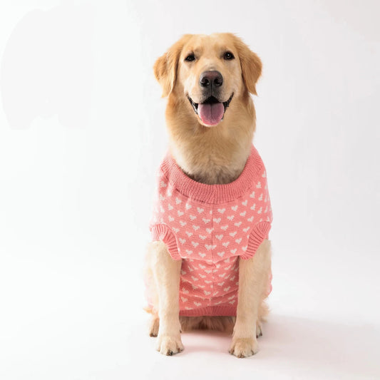 Roupa Estampada de Inverno para Cães