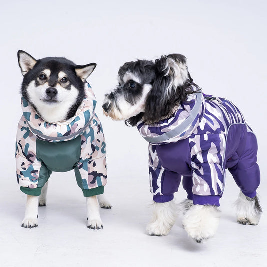 Roupinha Estilo Bomber para Pet com Design Casual