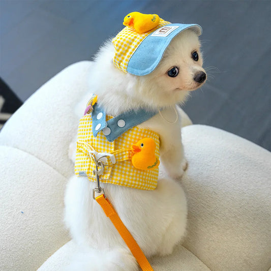 Colete com Guia para Cachorros Pequenos com Chapéu