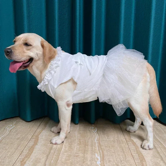 Vestido Branco para Cachorro com Saia Rodada e Renda