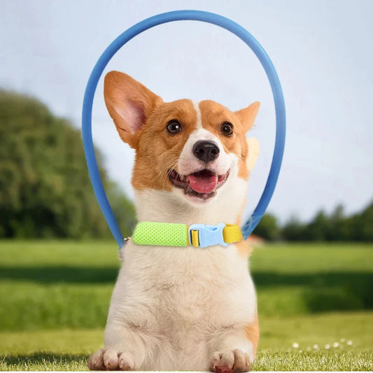 Coleira Anticolisão para Cães Cegos Luna LN674 C - COLEIRA - 29