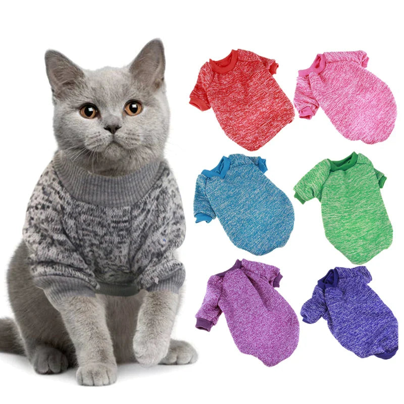 Roupinha Para Gatos - Ziggy – Mundo Luna