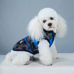 Roupas de Inverno em Lã para Cães Pequenos