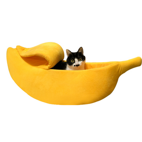 Caminha pet BananaFun