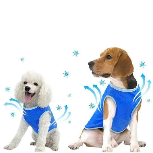 Colete de Resfriamento para Cães IcePet Azul / PP VERAO - 01