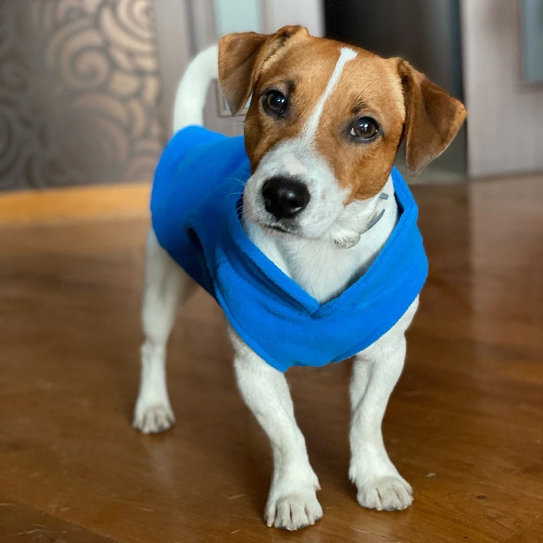 Jaqueta de Lã para Cães Pequenos