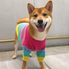 Blusão de Lã Colorido Para Cachorro - Livvy R - ROUPA - 125