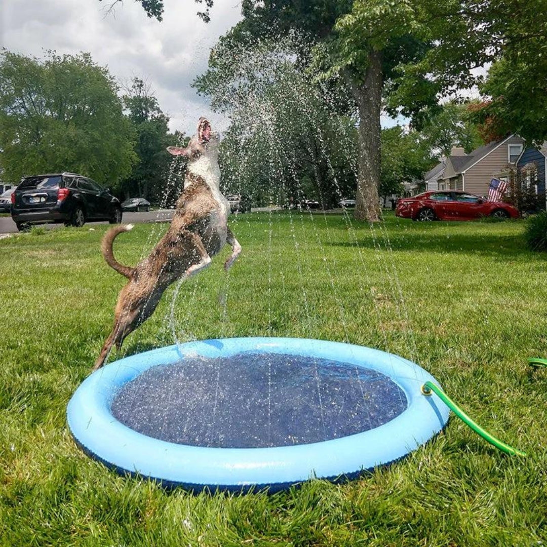 Piscina Chafariz Para Pets JetDoggy