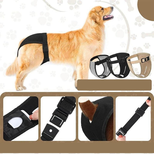 Fraldas Laváveis para Cães A - FRALDA - 01