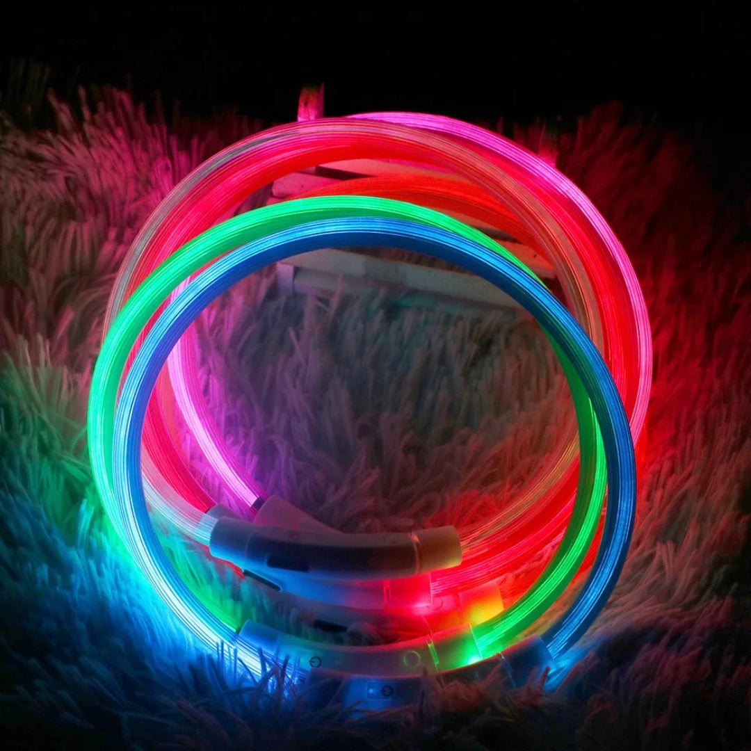 Colar de led luminoso para cachorro e gato