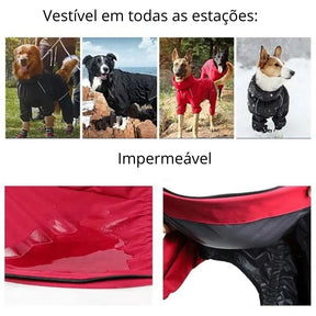 Casaco Impermeável Para Cachorro - Louie