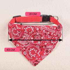 Bandana Triangular para Cachorro e Gato A - Bandana - 01