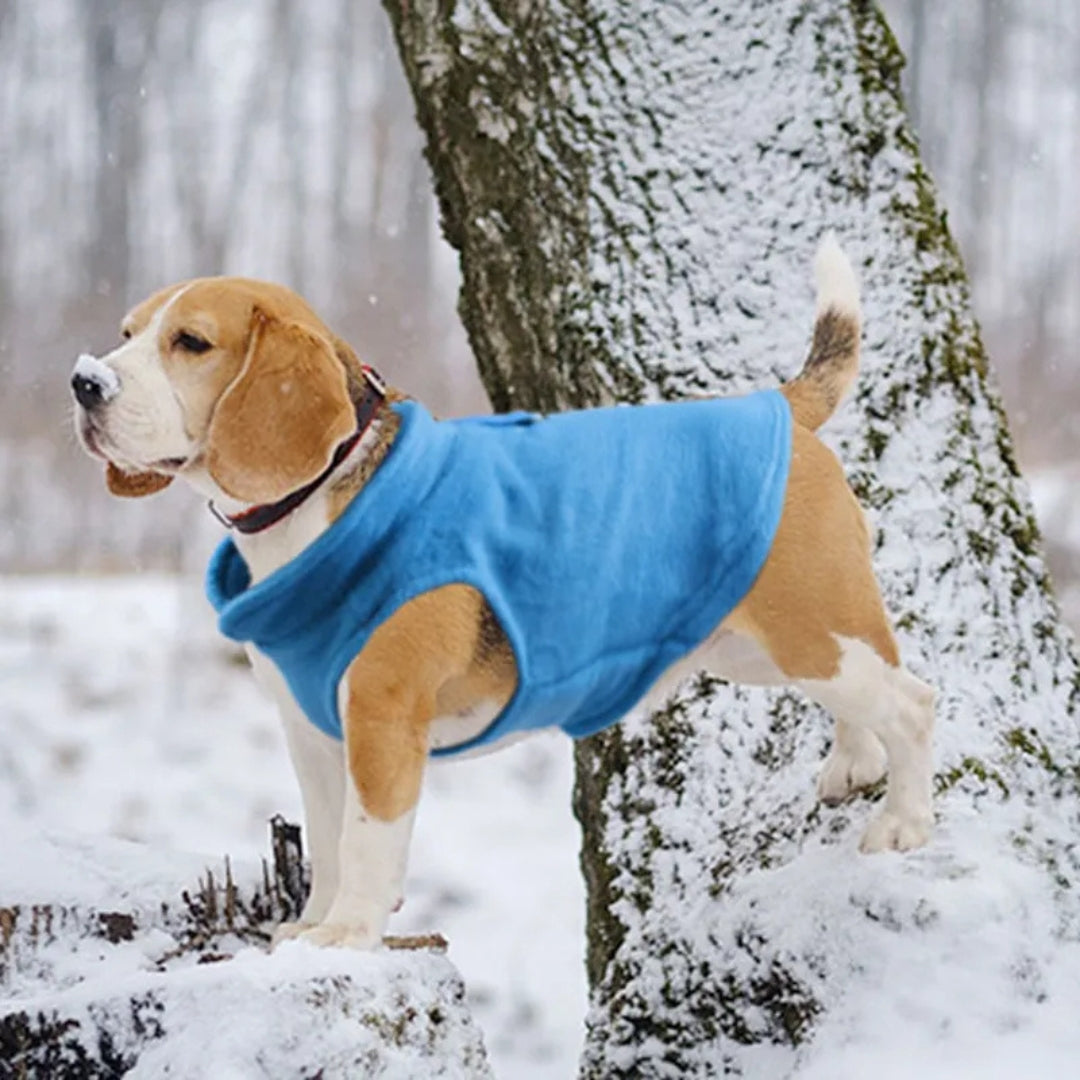 Jaqueta de Lã para Cães Pequenos