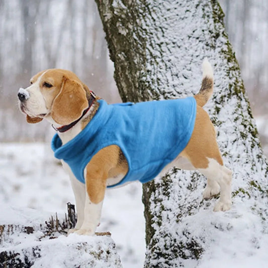 Jaqueta de Lã para Cães Pequenos R - roupas - 10
