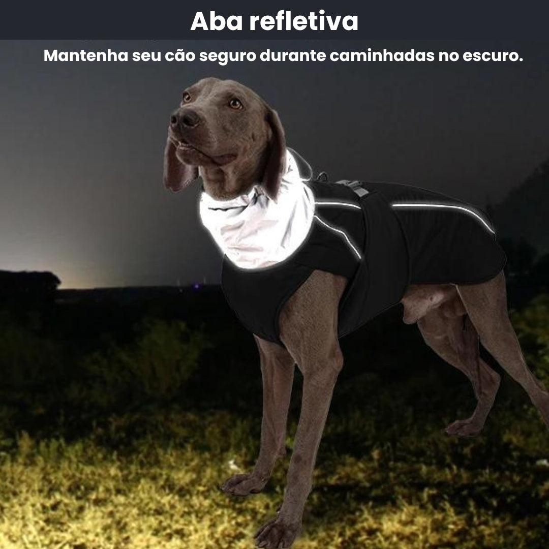 Jaqueta Para Cães Grandes Ajustável - Rexy R - ROUPA GATO - 87