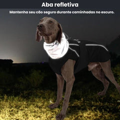 Jaqueta Para Cães Grandes Ajustável - Rexy R - ROUPA GATO - 87