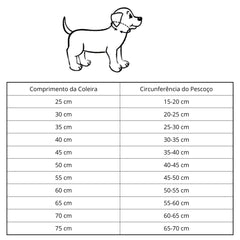 Colar Dourado para Cachorro - GlamPet C - COLAR DOURADO - 01