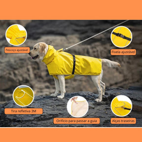 Roupa de Chuva para Labrador