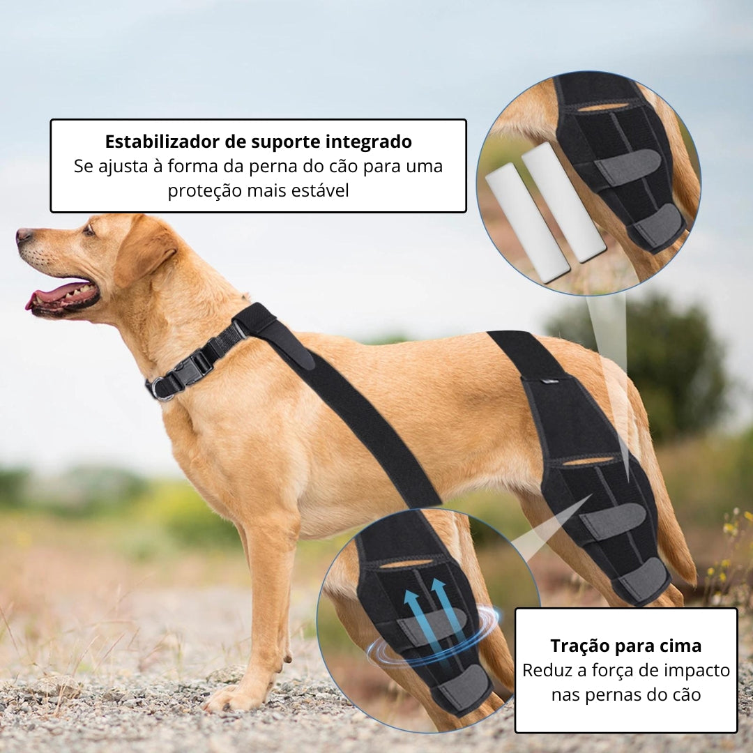 Joelheiras Para Cachorro S - JOELHEIRA - 01