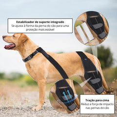 Joelheiras Para Cachorro S - JOELHEIRA - 01