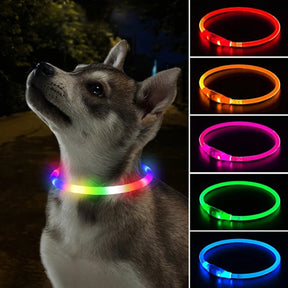 Colar de led luminoso para cachorro e gato