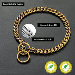 Colar Dourado para Cachorro - GlamPet C - COLAR DOURADO - 01
