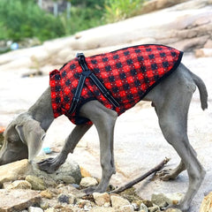 Roupas de Inverno em Lã para Cães Pequenos R - Roupas - 11